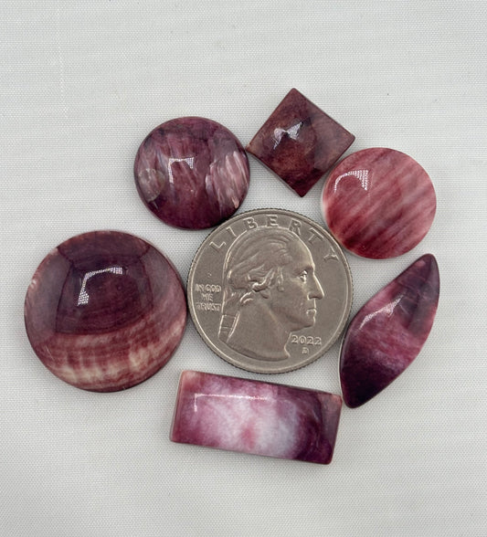 Purple Spiny Bargain Bag 2