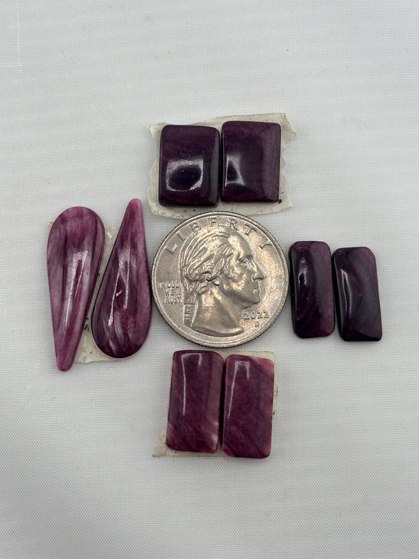 Purple Spiny Bargain Bag 5