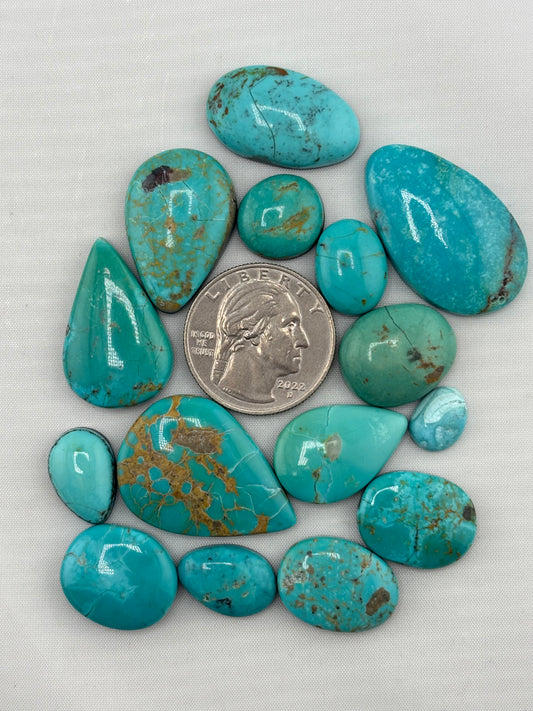 Sonoran Turquoise Bargain Bag 6