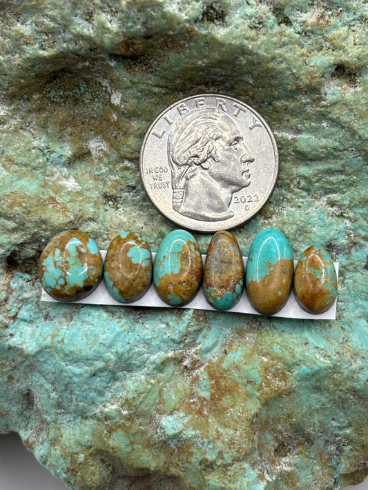 Freeform Cabochons 352