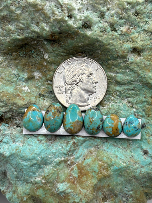 Freeform Cabochons 357