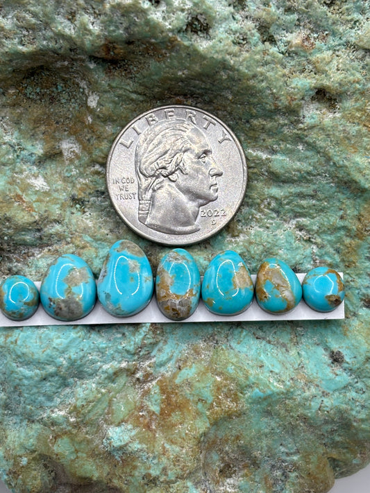 Freeform Cabochons 359