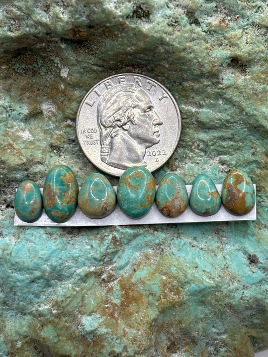Freeform Cabochons 366