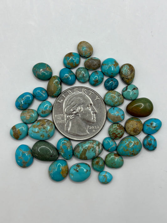 Bargain Bag Sonoran Turquoise 6