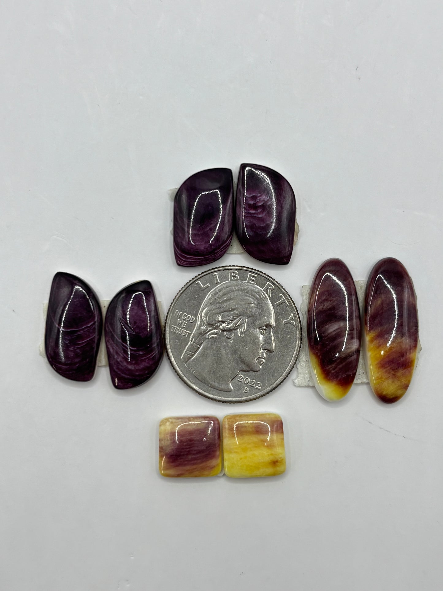 Purple Spiny Bargain bag 4