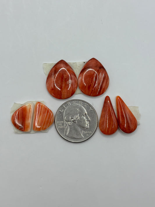 Red Spiny Bargain Bag 1
