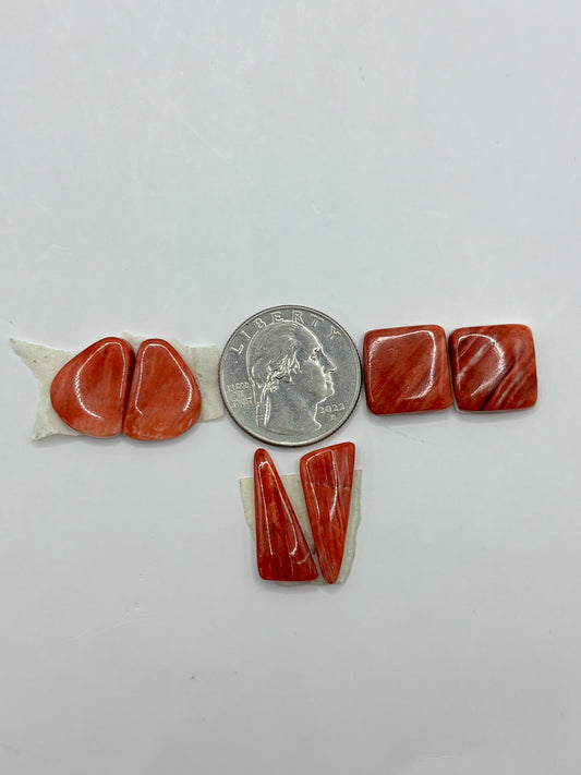 Red Spiny Bargain Bag 2