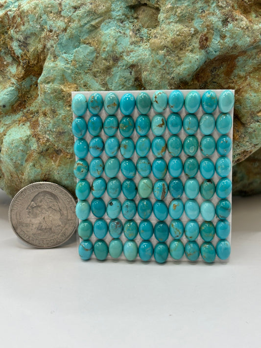 5x7 Oval Calibrated Cabs