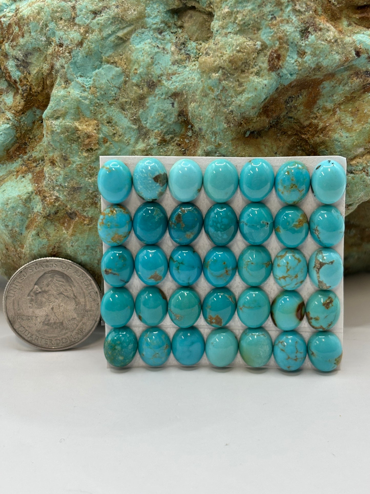 8x10 Oval Calibrated Cabs