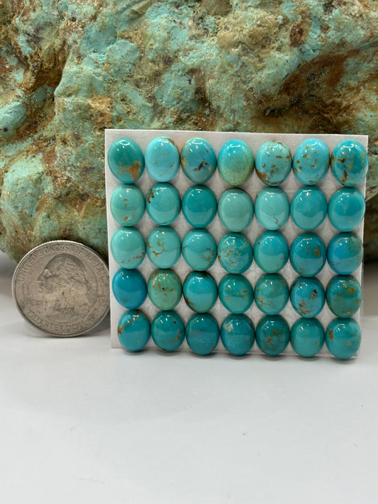 8x10 Oval Calibrated Cabs