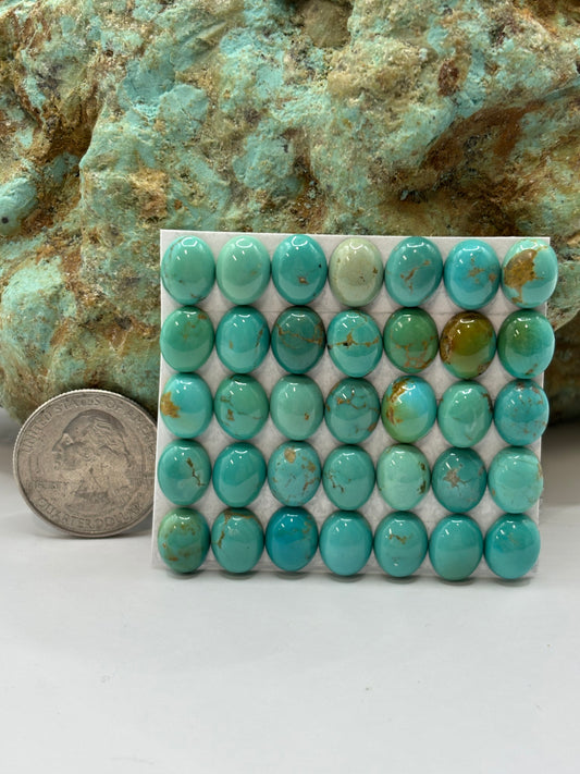 8x10 Oval Calibrated Cabs