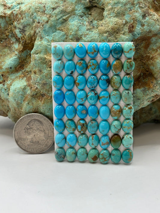 6x8 Oval Calibrated Cabs