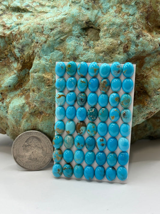 6x8 Oval Calibrated Cabs
