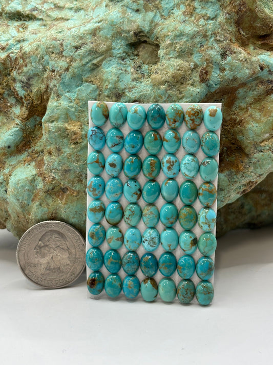 6x8 Oval Calibrated Cabs