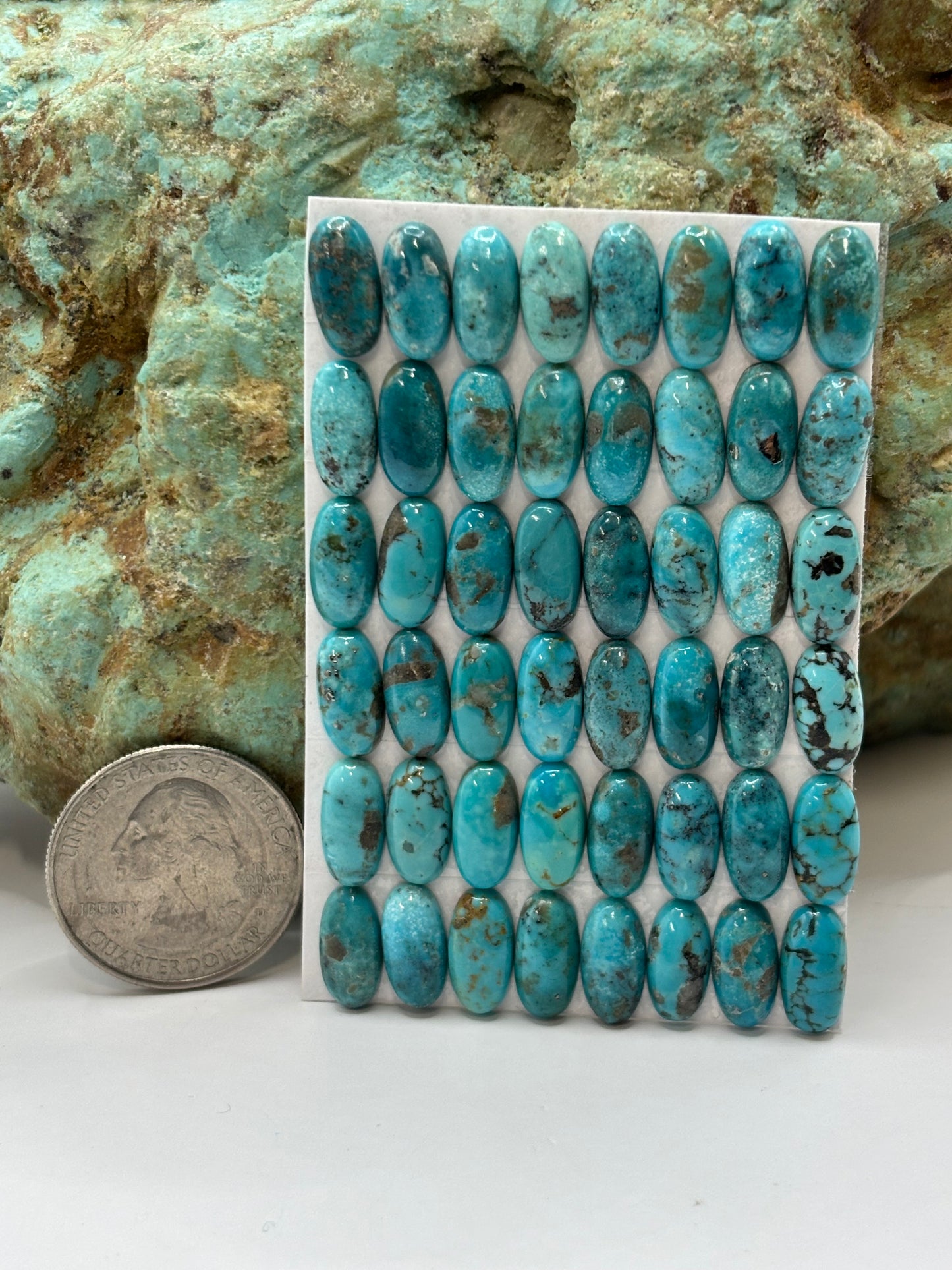 6x12 Oval Calibrated Cabs