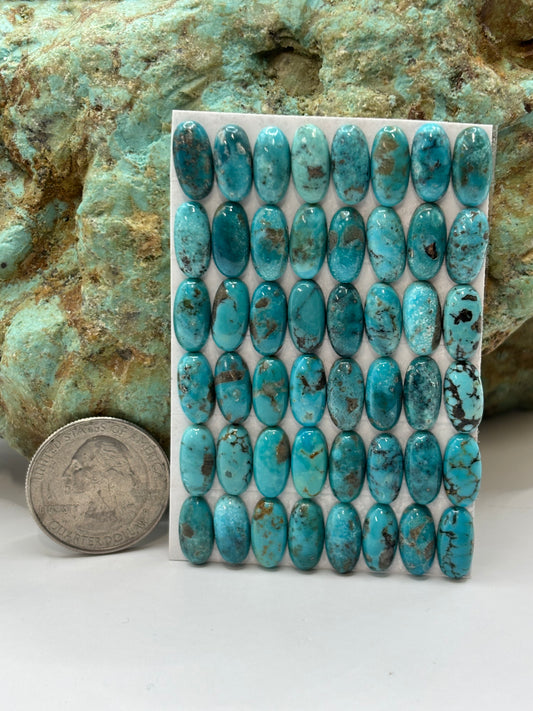 6x12 Oval Calibrated Cabs
