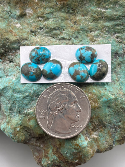 Trifecta Calibrated Cab Set 16