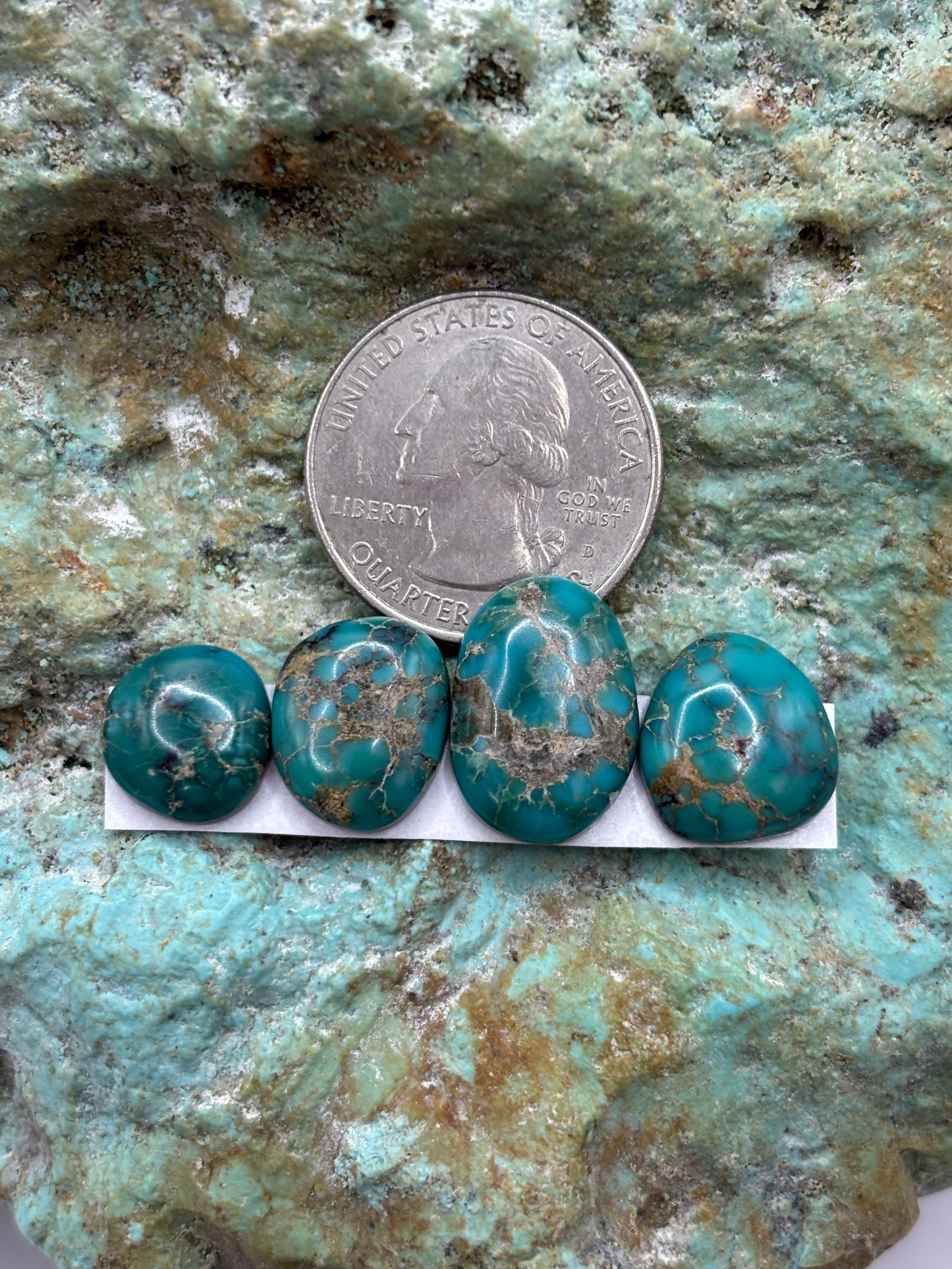 Freeform Cabochons 389