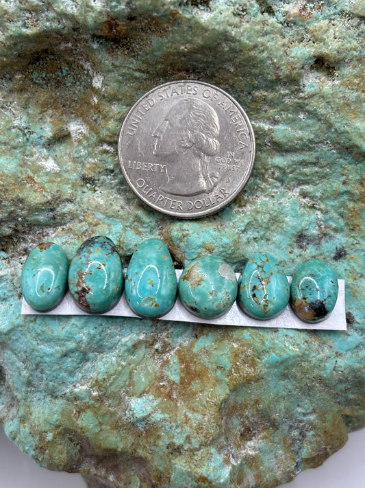 Freeform Cabochons 391
