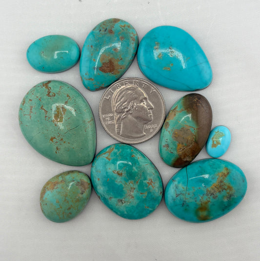 Sonoran Turquoise Bargain Bag 11