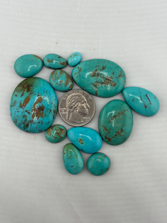 Sonoran Turquoise Bargain Bag 14