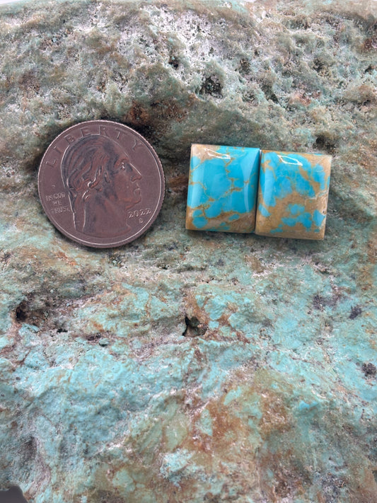 Quad Earring 1 Calibrated Cab Set