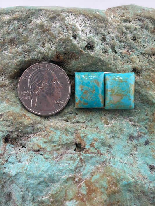 Quad Earring 6 Calibrated Cab Set