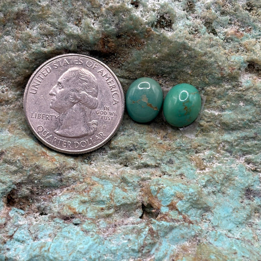 Earring Set 401