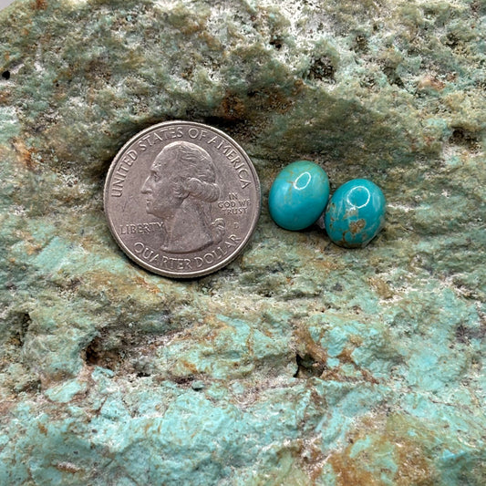 Earring Set 421