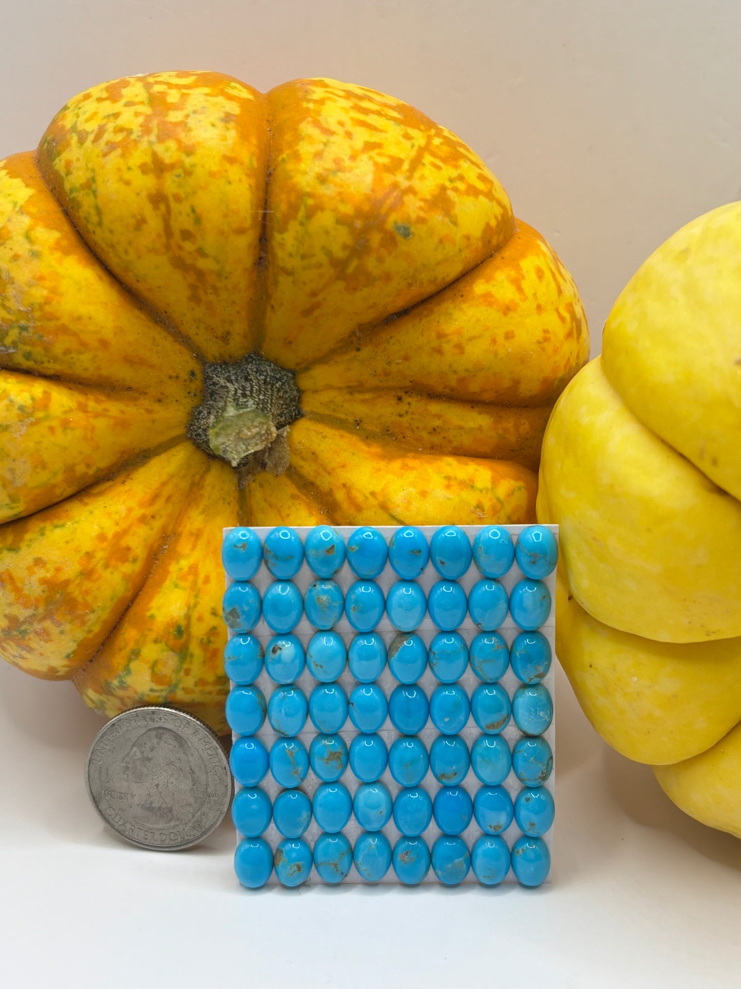 6x8 Oval Calibrated Cabs