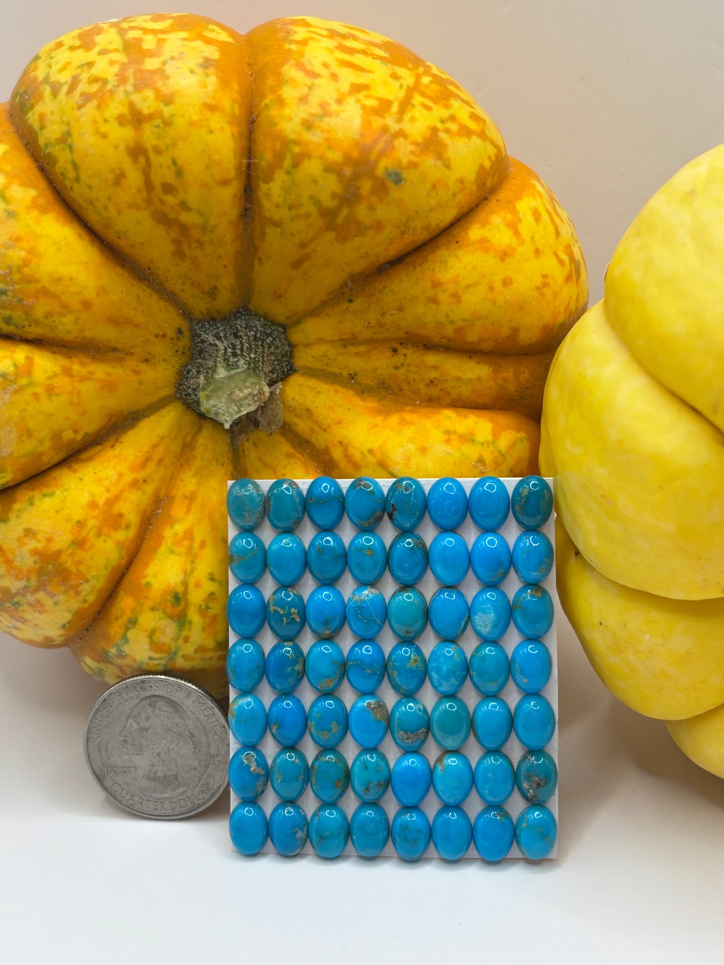 6x8 Oval Calibrated Cabs