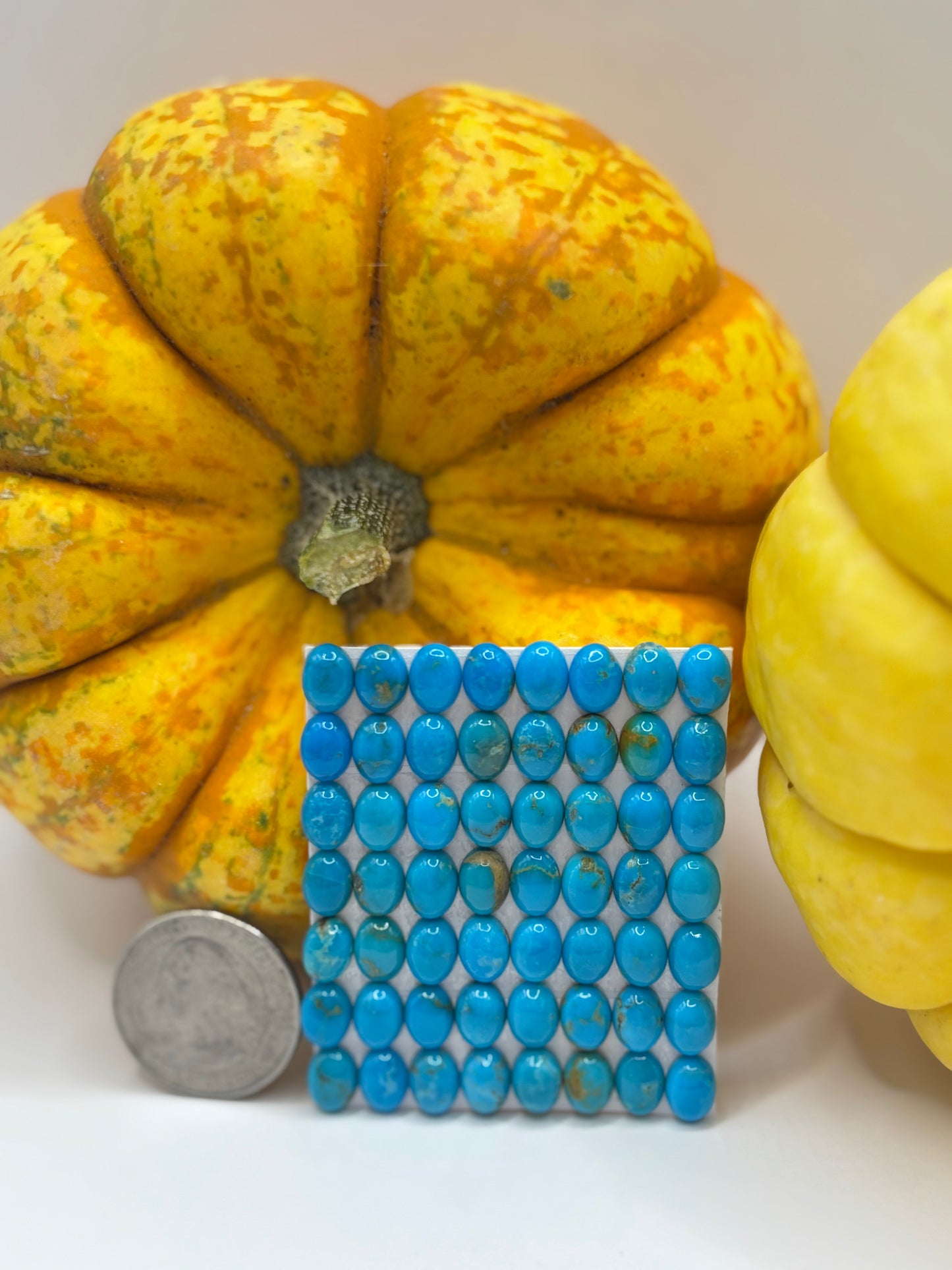 6x8 Oval Calibrated Cabs