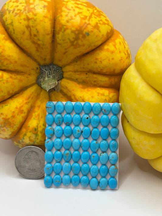 6x8 Oval Calibrated Cabs