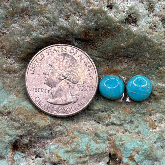 Earring Set 464