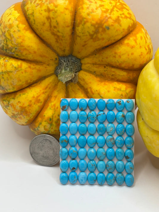 6x8 Oval Calibrated Cabs