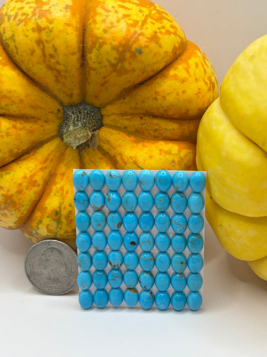 6x8 Oval Calibrated Cabs