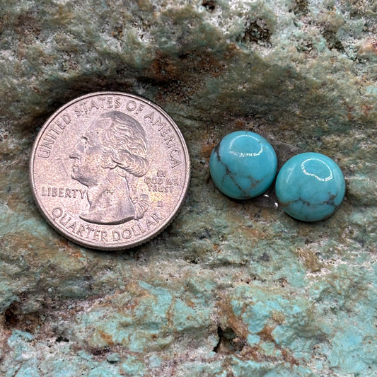 Earring Set 468