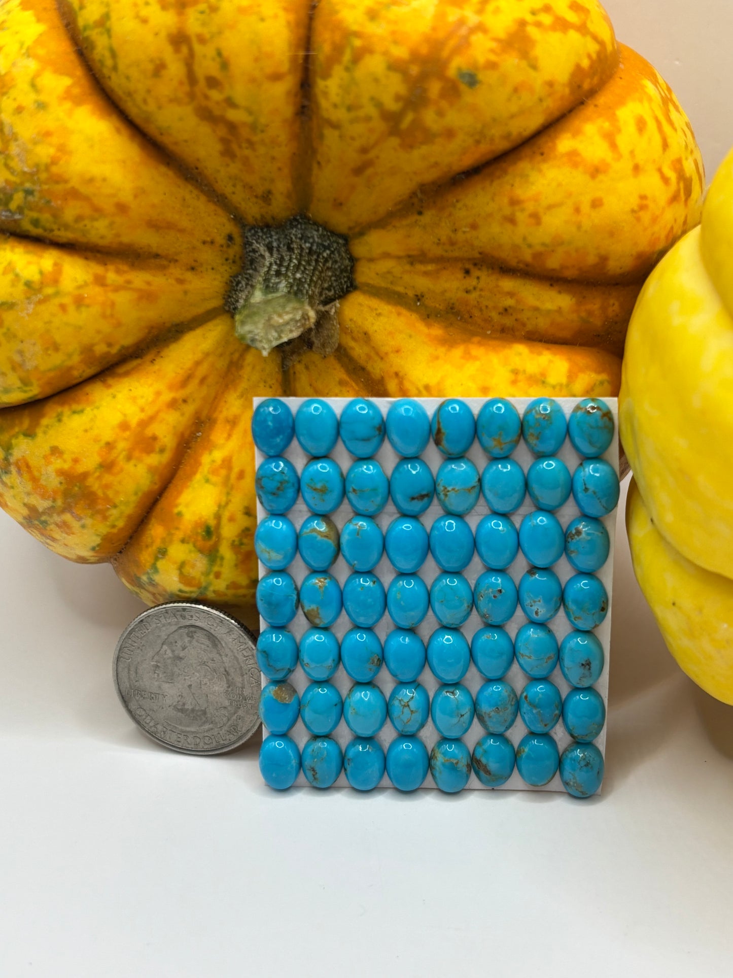 6x8 Oval Calibrated Cabs