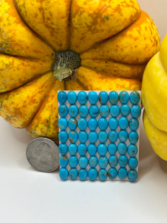 6x8 Oval Calibrated Cabs