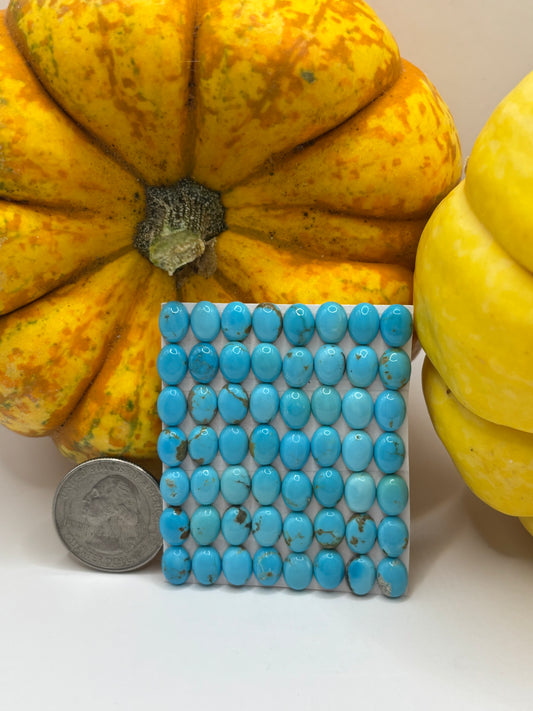 6x8 Oval Calibrated Cabs