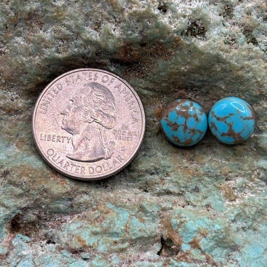 Earring Set 471