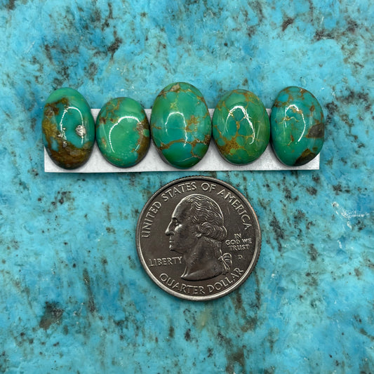 Cielo Freeform Cabochons 14