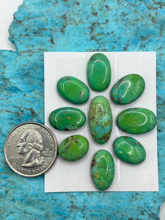 Cielo Freeform Set #66