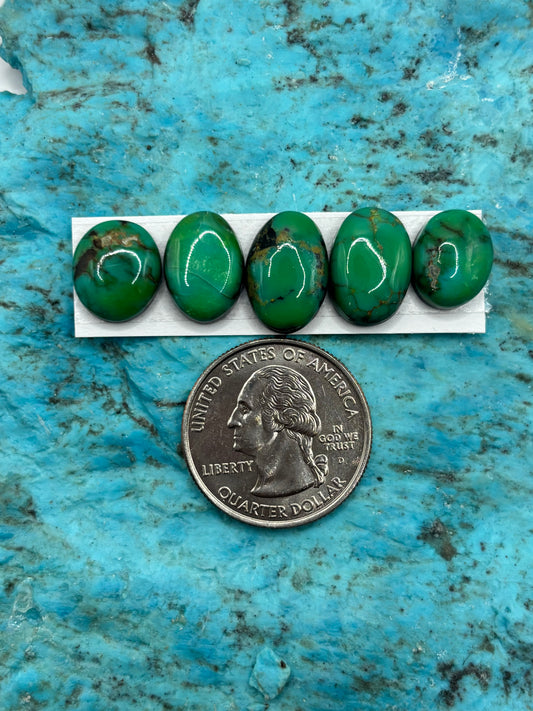 Cielo Freeform Cabochons 27