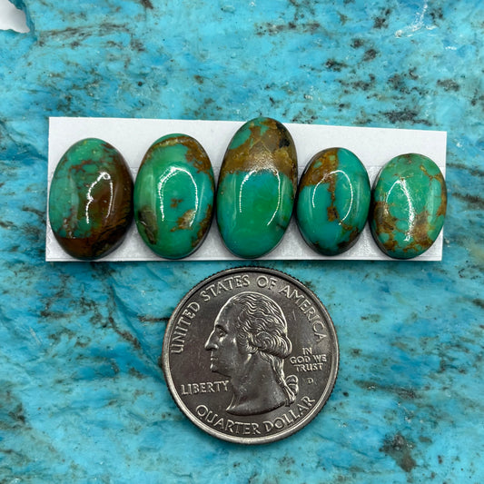 Cielo Freeform Cabochons 31