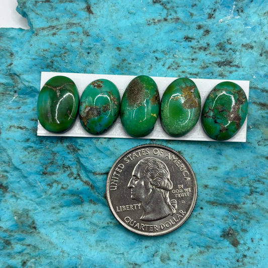 Cielo Freeform Cabochons 32