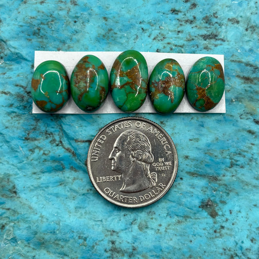 Cielo Freeform Cabochons 37