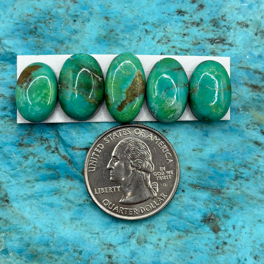 Cielo Freeform Cabochons 39