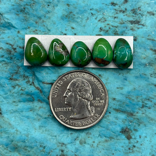 Cielo Freeform Cabochons 41