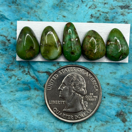 Cielo Freeform Cabochons 59